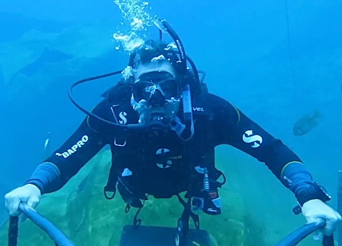 Tom's Dive Services