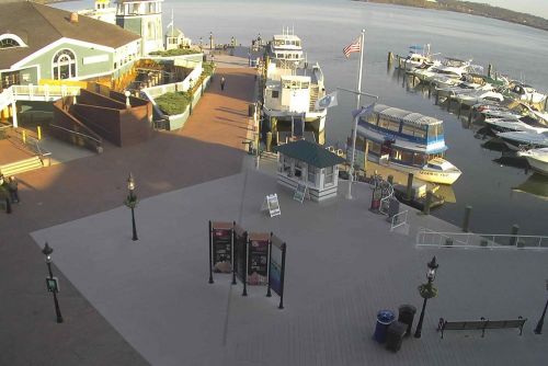 Alexandria City Marina