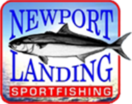 Newport Landing Sportfishing