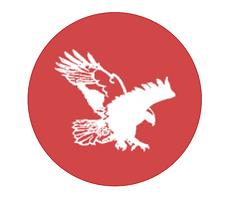 Eagle Maritime Consultants