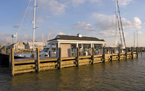 Gratitude Marina