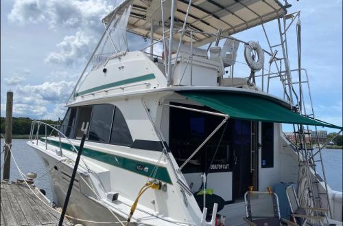 Island Elite Inc
