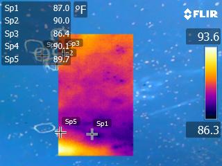 Infrared Thermal Imaging From Various Assignments
